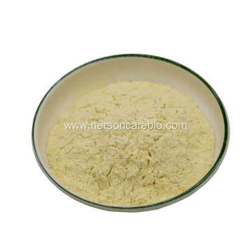 Freeze Dried Mango Powder